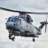 Buy canvas prints of Merlin Mk2 Royal Navy Helicopter ( Last man Out )  by Jon Fixter