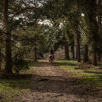 Buy canvas prints of Riding into the distance  by Jon Fixter