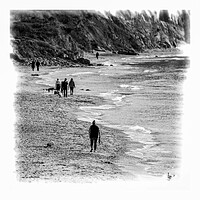 Buy canvas prints of Social distance dog walkers by Ian Johnston  LRPS