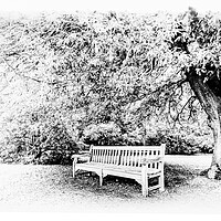 Buy canvas prints of Rest under the tree mono by Ian Johnston  LRPS