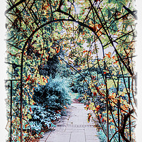 Buy canvas prints of Through the arch and into the garden by Ian Johnston  LRPS