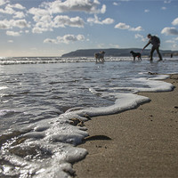 Buy canvas prints of Dogs at play in the Surf by Ian Johnston  LRPS