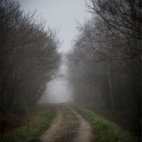 Buy canvas prints of Foggy morning road by Ian Johnston  LRPS