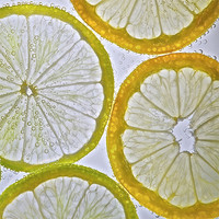 Buy canvas prints of Lemon and Lime by Ian Johnston  LRPS