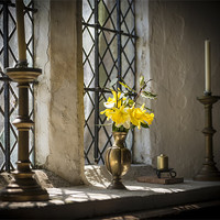 Buy canvas prints of Flowers in the Window by Ian Johnston  LRPS