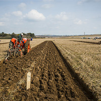 Buy canvas prints of Memorial Ploughing Match by Ian Johnston  LRPS