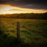 Buy canvas prints of Golden Fence by Ian Johnston  LRPS