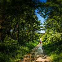 Buy canvas prints of The Lonely forest runner by Ian Johnston  LRPS