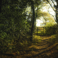 Buy canvas prints of Gate in the Countryside during Winter by Ian Johnston  LRPS