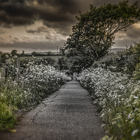 Buy canvas prints of The Path to Despair.... by Ian Johnston  LRPS