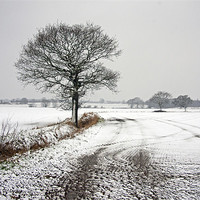 Buy canvas prints of A Winters day. by Paul Scoullar