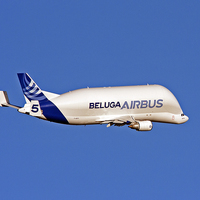 Buy canvas prints of Airbus Beluga by Paul Scoullar