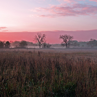 Buy canvas prints of  Rolling mist at daybreak. by Paul Scoullar