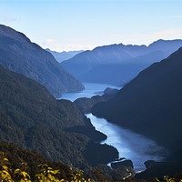 Buy canvas prints of Doubtful Sound from Wilmott Pass by 