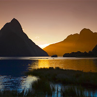 Buy canvas prints of Milford Sound Sunset by 