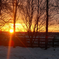 Buy canvas prints of Sunset in the snow by Rebecca Penhaligon