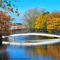 Buy canvas prints of Newry Canal by Anne Whiteside