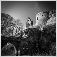 Buy canvas prints of Dundrum Castle by Anne Whiteside