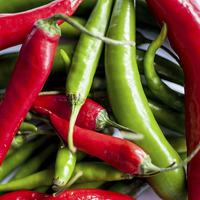 Buy canvas prints of Chillies by Anne Whiteside