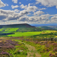 Buy canvas prints of Yorkshire: Cringle Moor by Rob Parsons