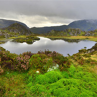 Buy canvas prints of The Lake District: Innominate Tarn by Rob Parsons