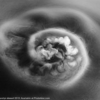 Buy canvas prints of Sodium swirl by carolyn stewart