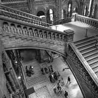 Buy canvas prints of Natural History Museum, London by Ian Rolfe