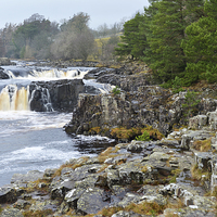 Buy canvas prints of  Low Force by Rob Smith