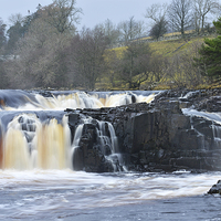 Buy canvas prints of  Low Force Waterfall in Upper Teesdale by Rob Smith