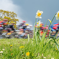 Buy canvas prints of Tour de Yorkshire: Beyond the Pain Barrier by Rob Smith