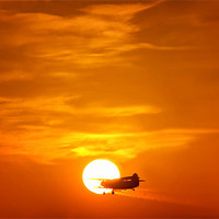 Buy canvas prints of Sunset with Plane by Mary Lane