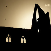 Buy canvas prints of Tintern Abbey by Mary Lane