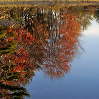 Buy canvas prints of Autumn Reflections by Mary Lane
