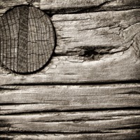 Buy canvas prints of Wooden Nail by Mary Lane