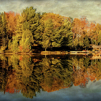 Buy canvas prints of Autumn by Mary Lane