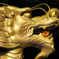 Buy canvas prints of Golden Dragon by Mary Lane