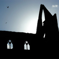 Buy canvas prints of Tintern Glow by Mary Lane