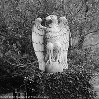 Buy canvas prints of Glenveagh Castle - Eagle by Kim McDonell