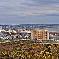 Buy canvas prints of Aberdeen City View by Debbie Johnstone Bran