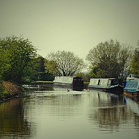 Buy canvas prints of Canal Life by Debbie Johnstone Bran