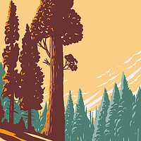 Buy canvas prints of General Grant Tree Trail with the Largest Giant Sequoia in the General Grant Grove Section of Kings Canyon National Park in California WPA Poster Art by Aloysius Patrimonio