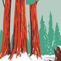 Buy canvas prints of Redwood National and State Park During Winter with Coastal Redwoods Located Northern California WPA Poster Art  by Aloysius Patrimonio