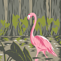 Buy canvas prints of Flamingo in the Everglades National Park Located in Florida United States of America WPA Poster Art by Aloysius Patrimonio