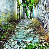 Buy canvas prints of The mile lane. by  