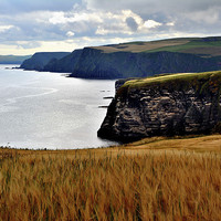 Buy canvas prints of  Troup Head. by  