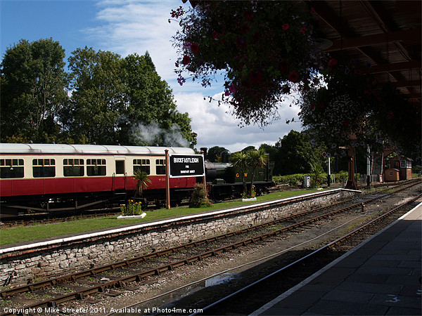 Buckfastleigh Station Picture Board by Mike Streeter