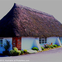 Buy canvas prints of Dorset Thatch by Mike Streeter