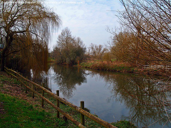 The Dorset Stour. Picture Board by Mike Streeter