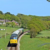 Buy canvas prints of Diesel on the Swanage Railway by Mike Streeter