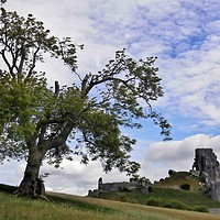 Buy canvas prints of Corfe Castle by Mike Streeter